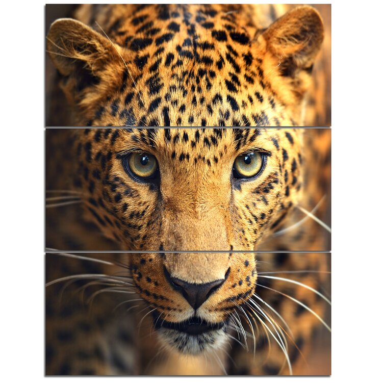 Leopard faces B/Y 』 by Gayo 54*70cm | stellameubles.fr